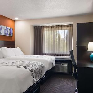 Double Room Two Double Beds Non Smoking